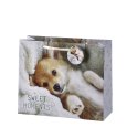 BORSA IN CARTA DECORO CUCCIOLI - DECORI ASSORTITI BORSA IN CARTA DECORO CUCCIOLI - DECORI ASSORTITI