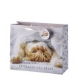 BORSA IN CARTA DECORO CUCCIOLI - DECORI ASSORTITI BORSA IN CARTA DECORO CUCCIOLI - DECORI ASSORTITI