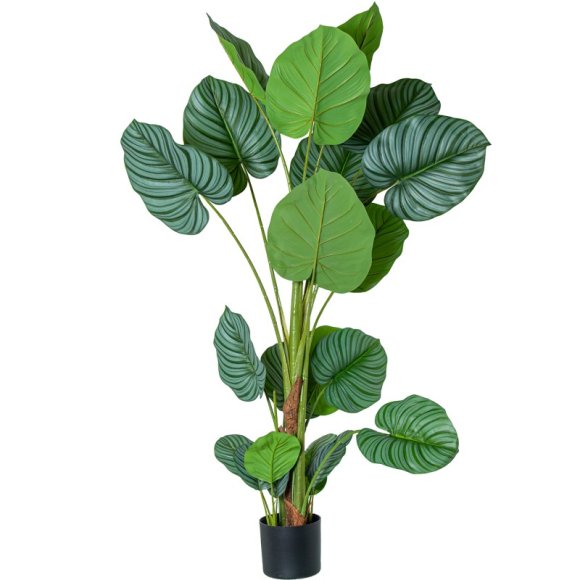 PIANTA ARTIFICIALE CALATHEA 150 CM