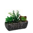 VASO + PIANTA GRASSA 18x7x14 H CM- MODELLI ASSORTITI