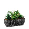 VASO + PIANTA GRASSA 18x7x14 H CM- MODELLI ASSORTITI