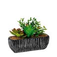 VASO + PIANTA GRASSA 18x7x14 H CM- MODELLI ASSORTITI
