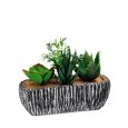VASO + PIANTA GRASSA 18x7x14 H CM- MODELLI ASSORTITI