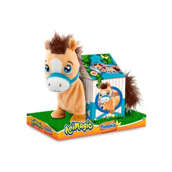 PUMPKIN THE SHETLAND PONY