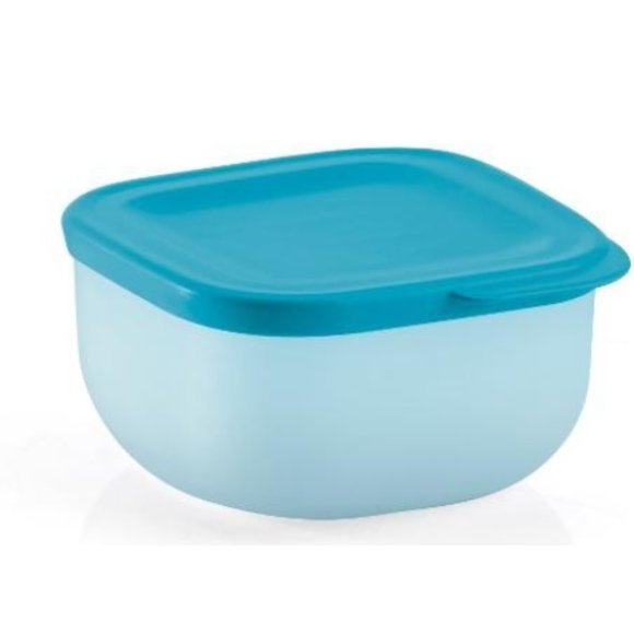 GUZZINI CONTENITORE ERMETICO BASSO LINEA CHEF LINE - 975 CC GUZZINI CONTENITORE ERMETICO BASSO LINEA CHEF LINE - 975 CC