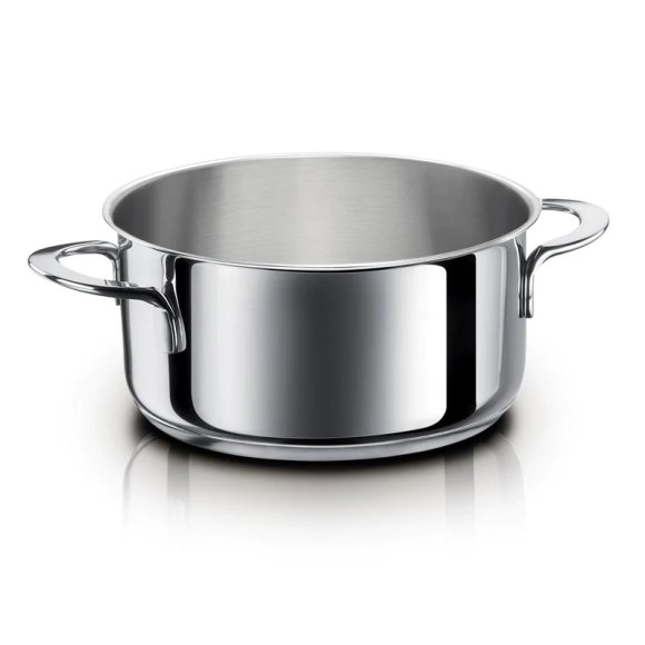 DIVINA CASSERUOLA 20 CM - 2 MANICI DIVINA CASSERUOLA 20 CM - 2 MANICI